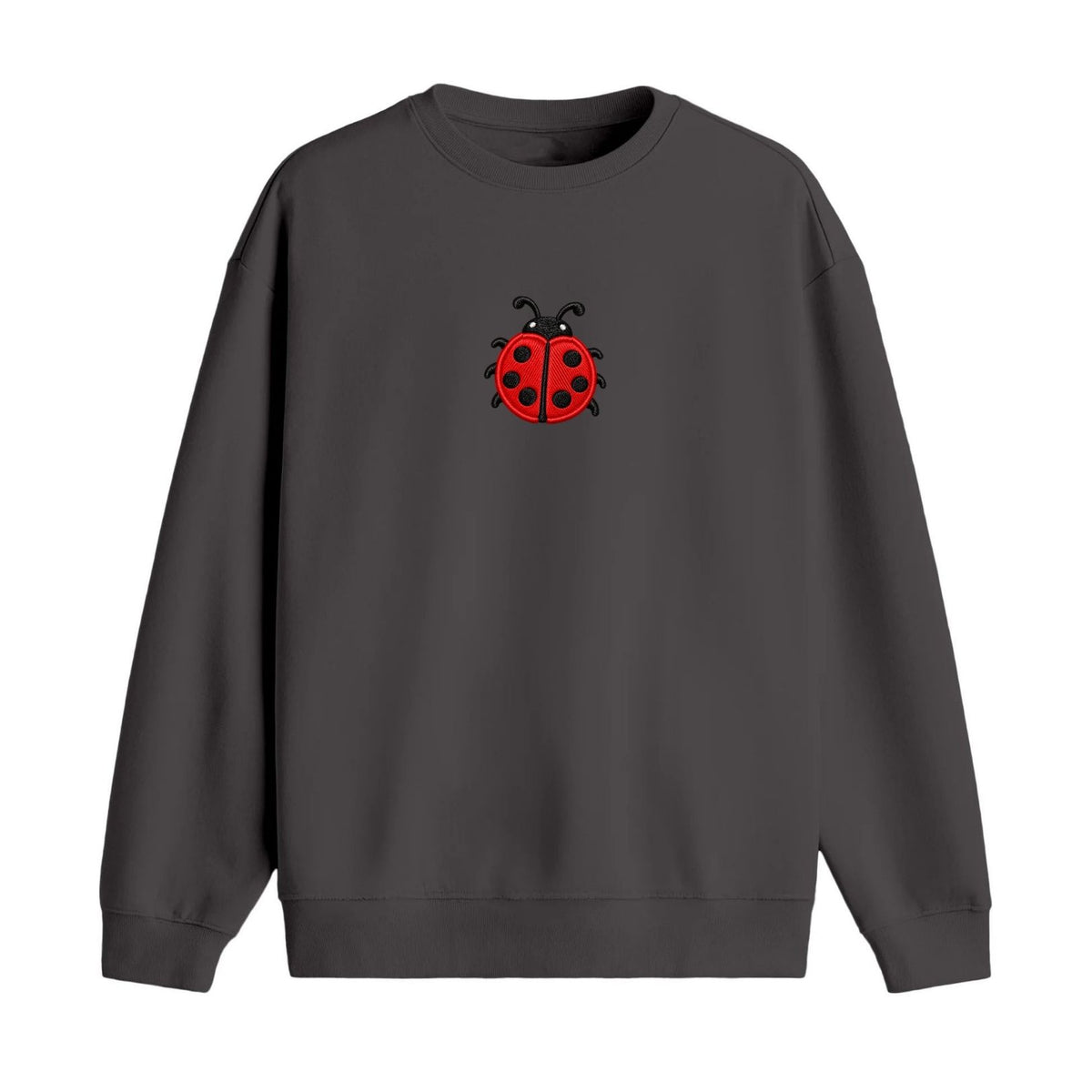 Ladybird Love - Oversize Sweatshirt